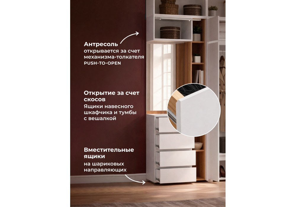 �������� ���� ����� ������������ 5