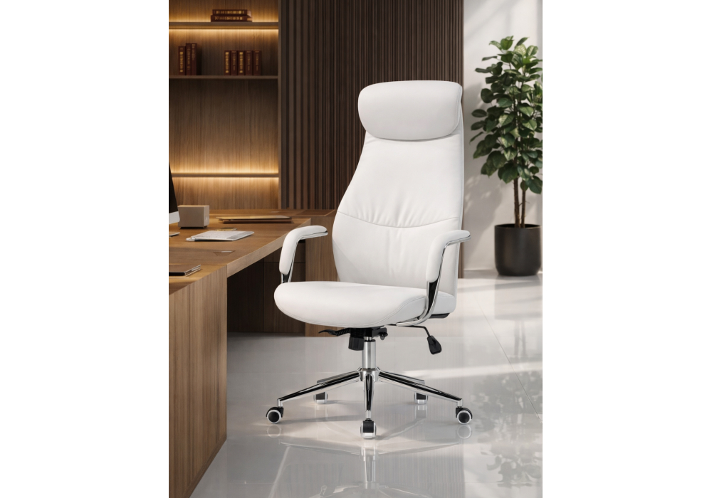 ������� ������ Modus white