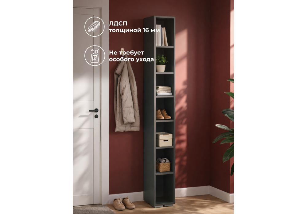 ������� ���� ������