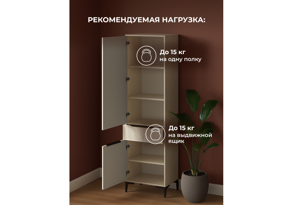 ���� ������ ������� / �������