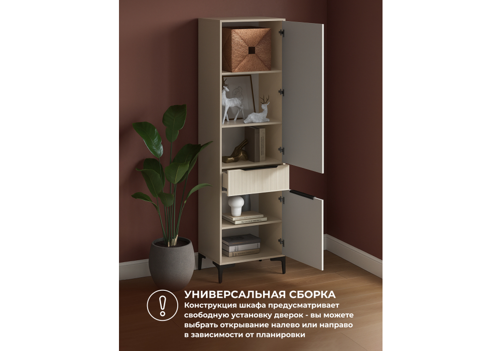 ���� ������ ������� / �������