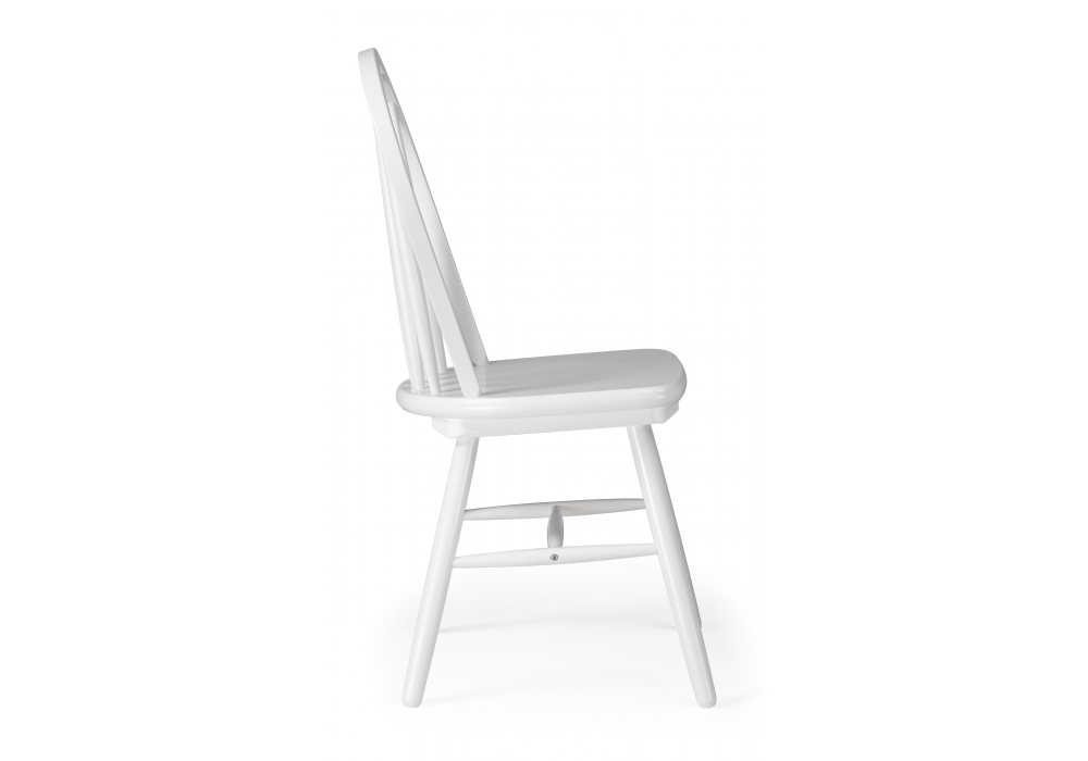 ���� ���������� ���������� ���� �������