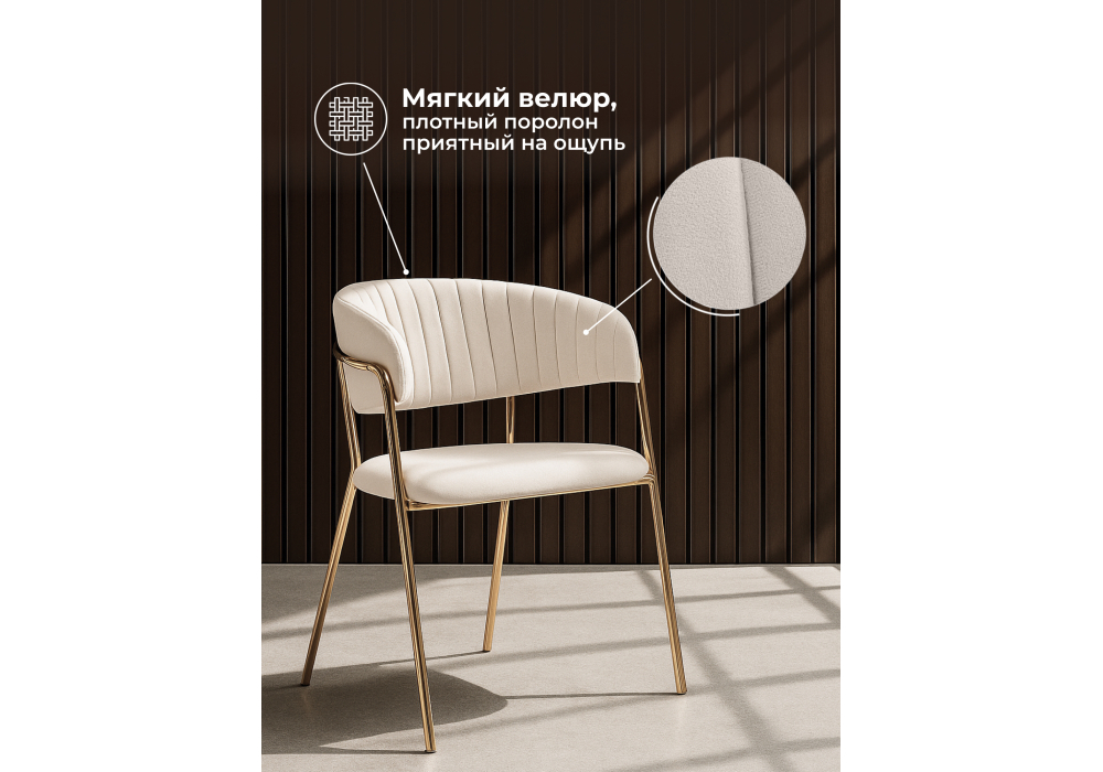 ���� �� �������������� Kamelia ������� / �������