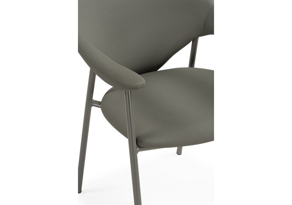 ���� �� �������������� Vigo gray