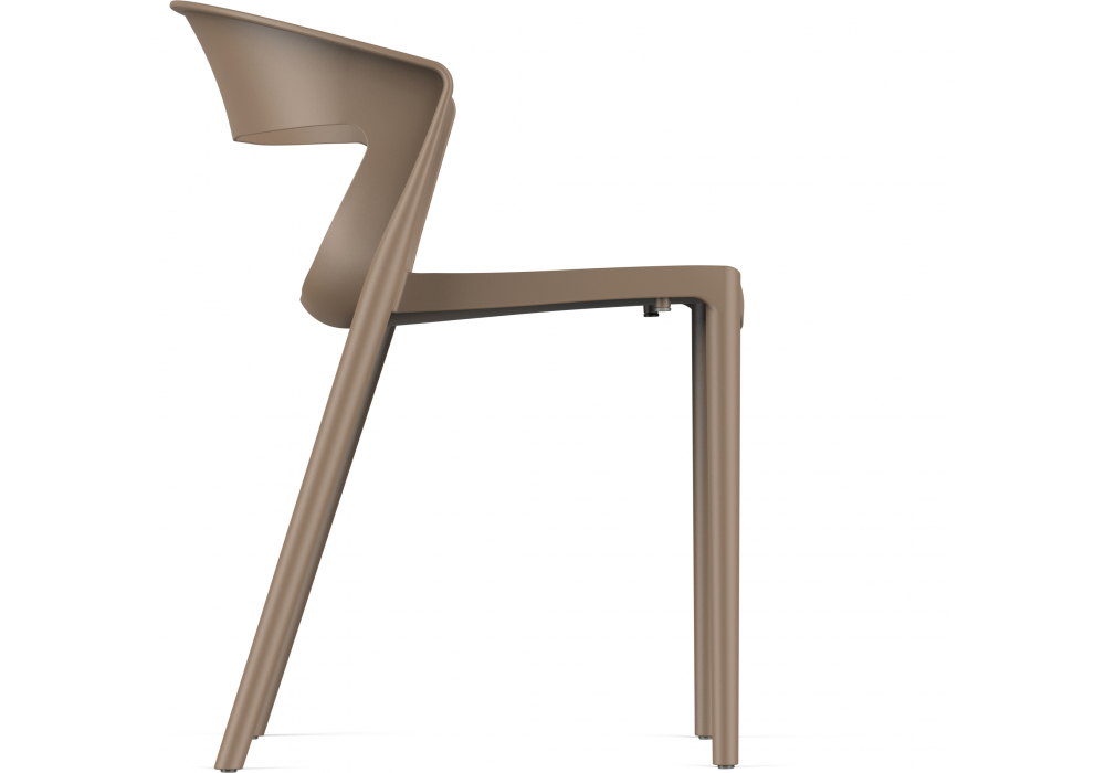 ����������� ���� ������ ��������