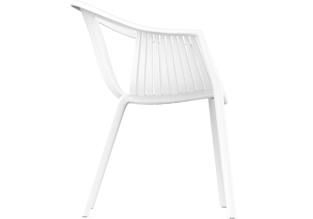 ���� ������ �����