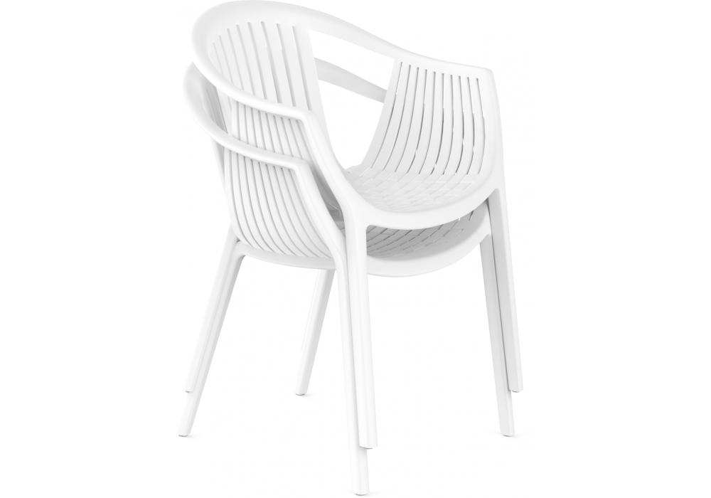 ���� ������ �����