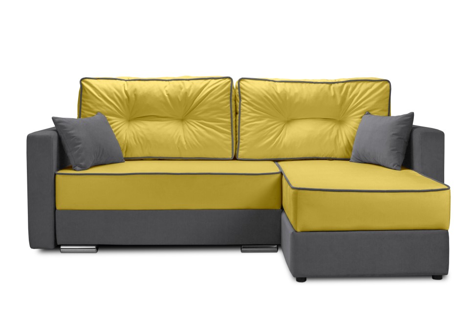 ������ ���� �����