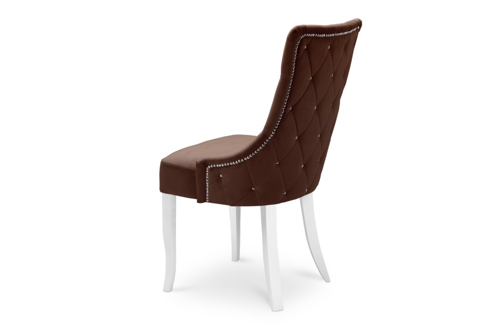 ���� ���������