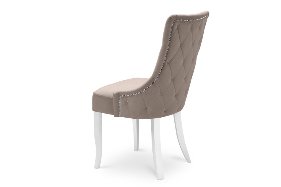 ���� ���������