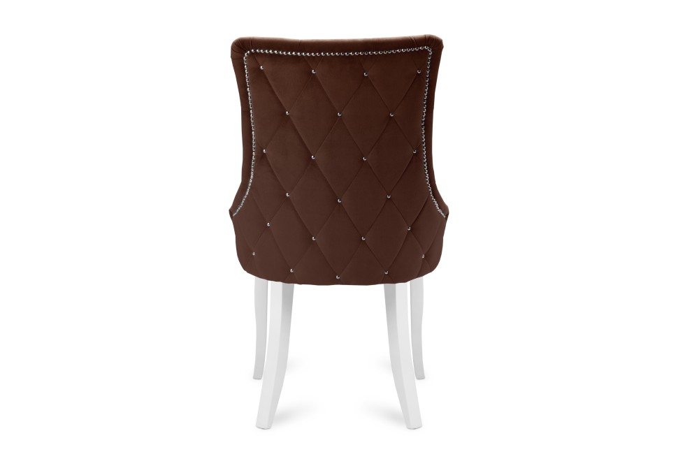 ���� ���������