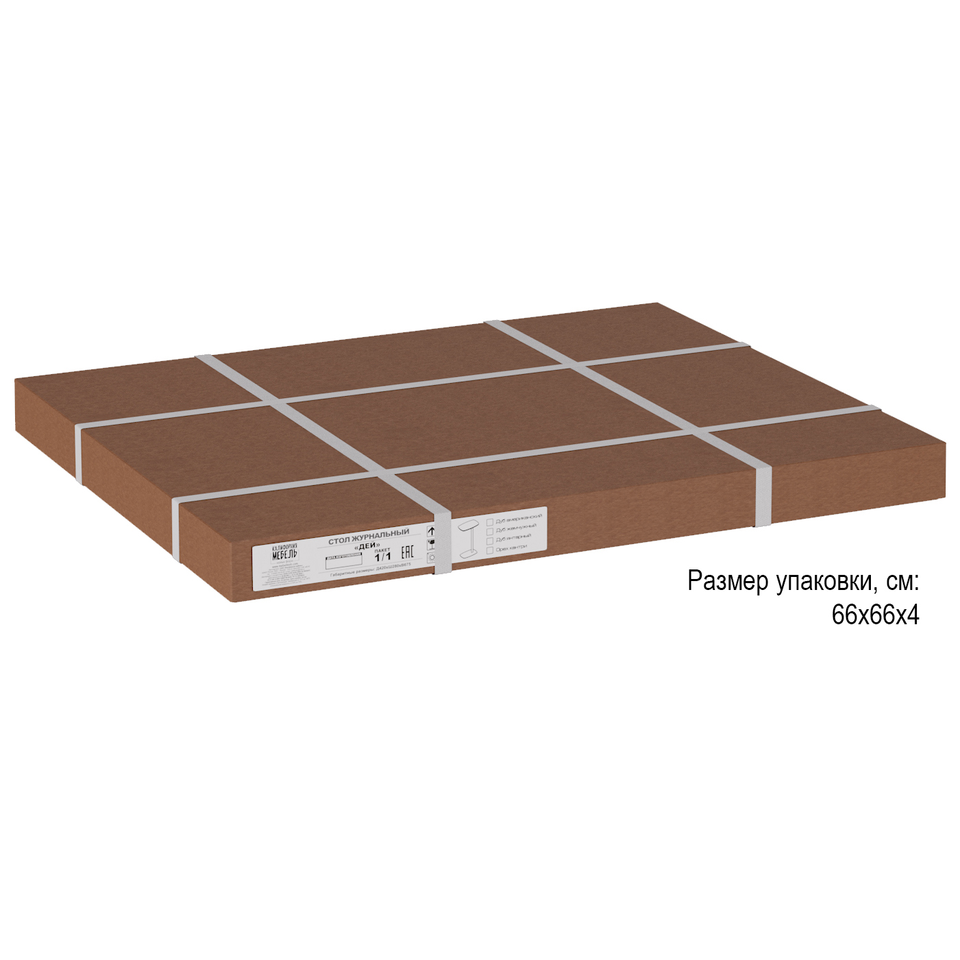 ���� ����������� ���