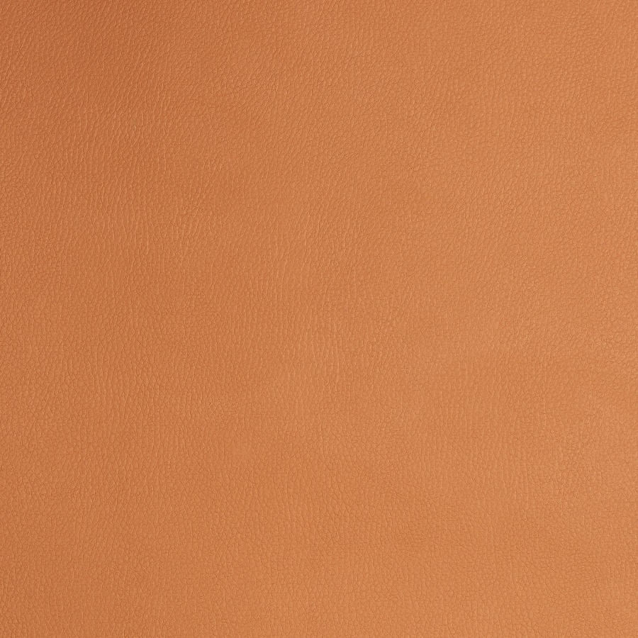 ����� ������ ������ ������ ���� ��������, ������ ���������� ����