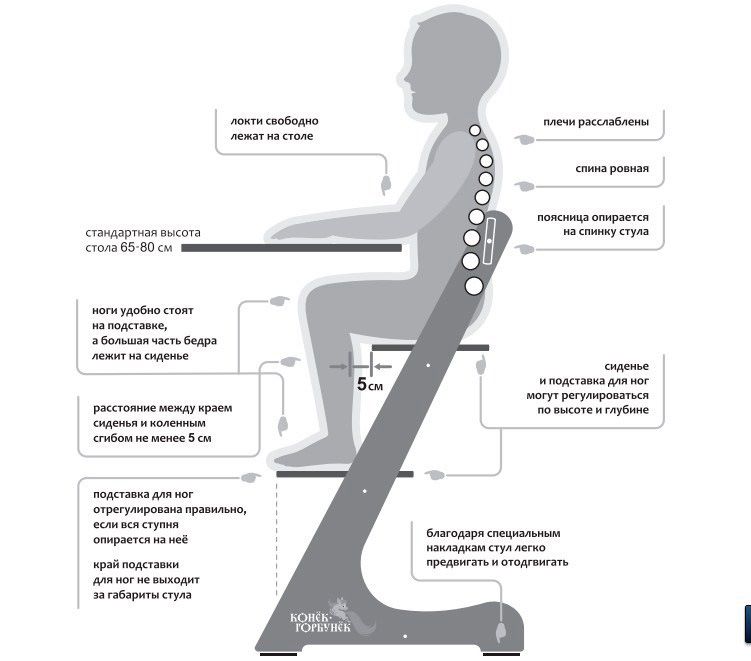 Стул растущий для школьника конек горбунок инструкция