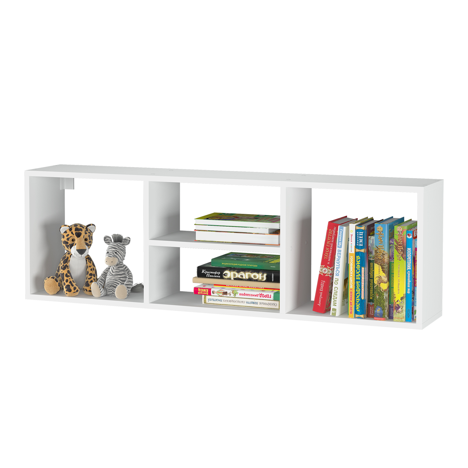 ����� �������� �����