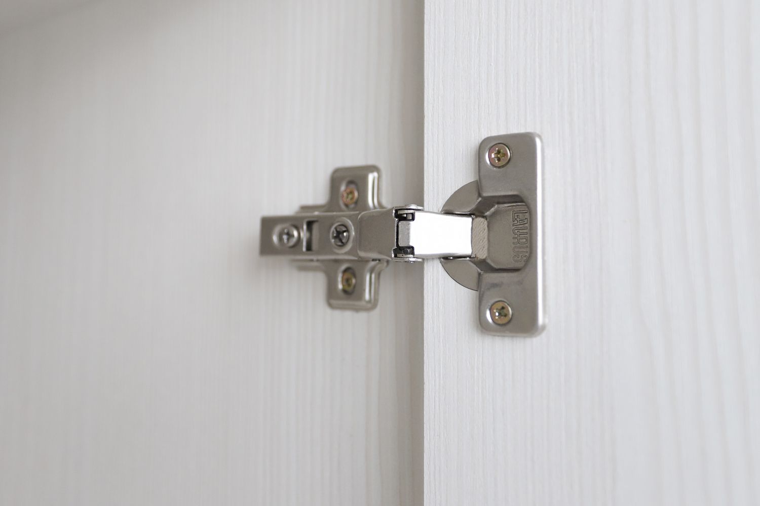 ���� ������� ����������