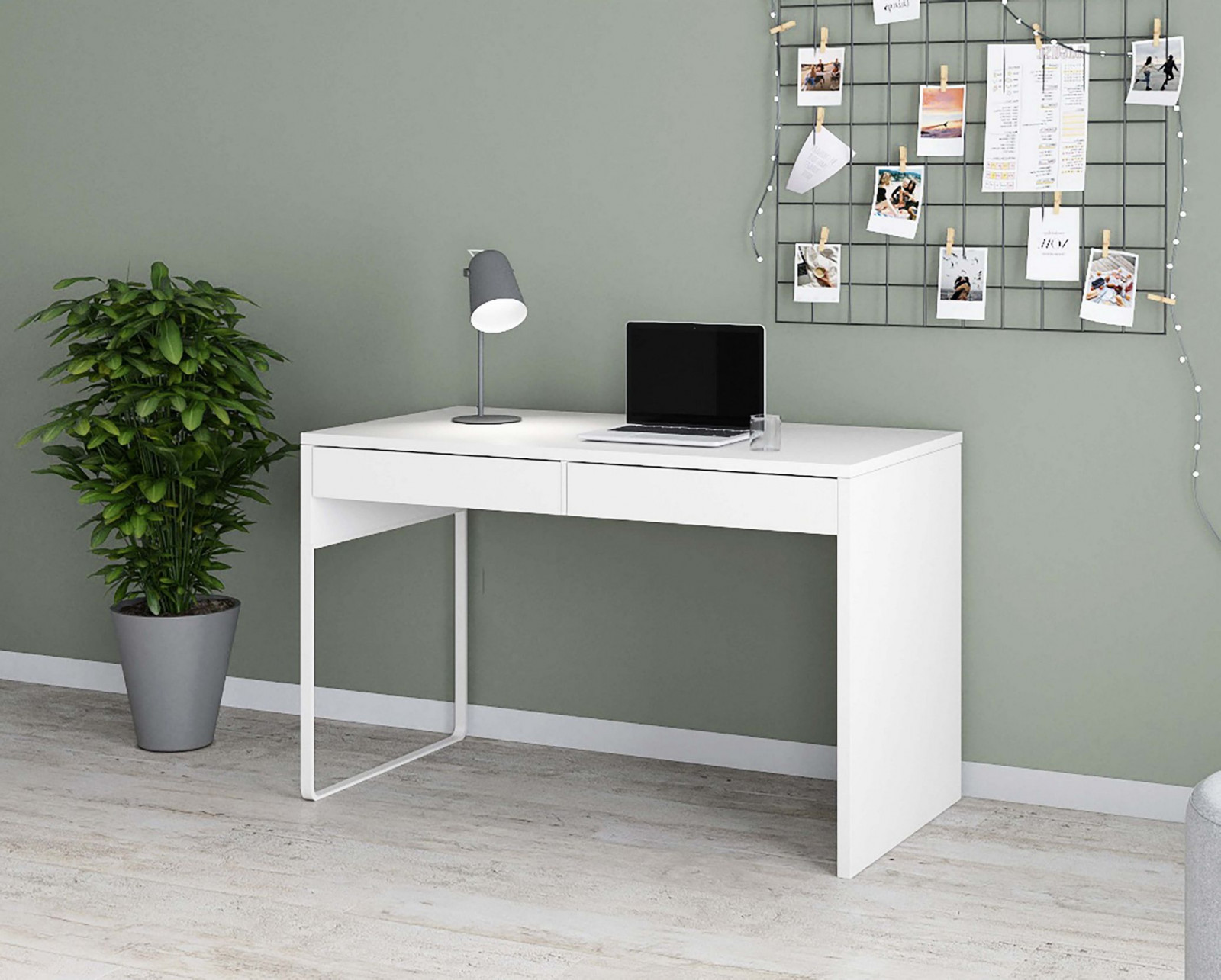 ���� ���������� �����