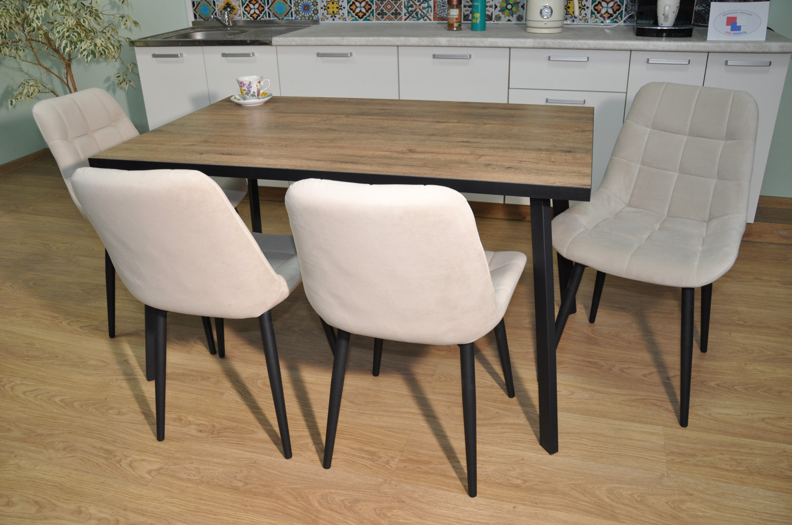 ���� ��������� ����