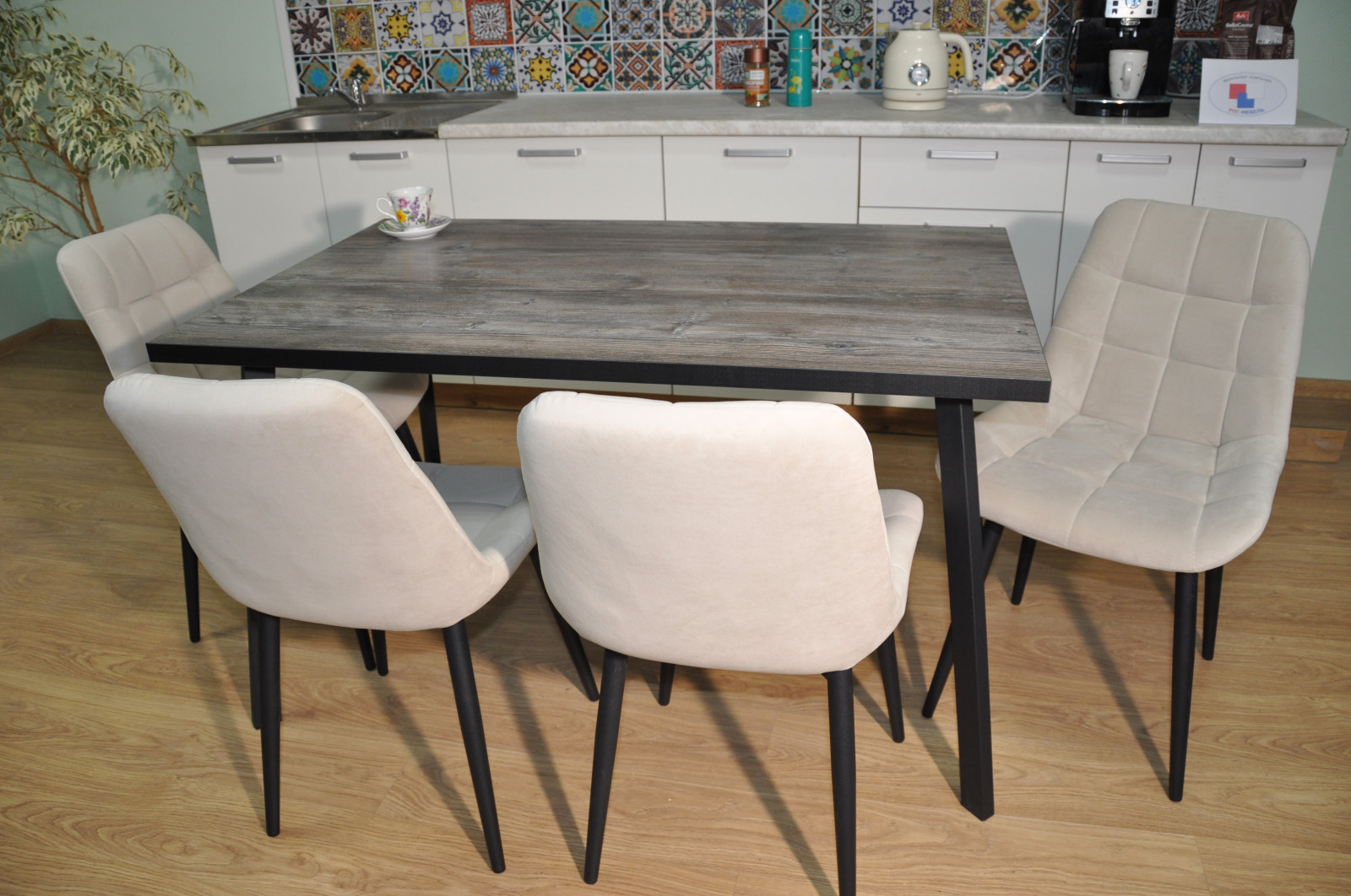 ���� ��������� ����