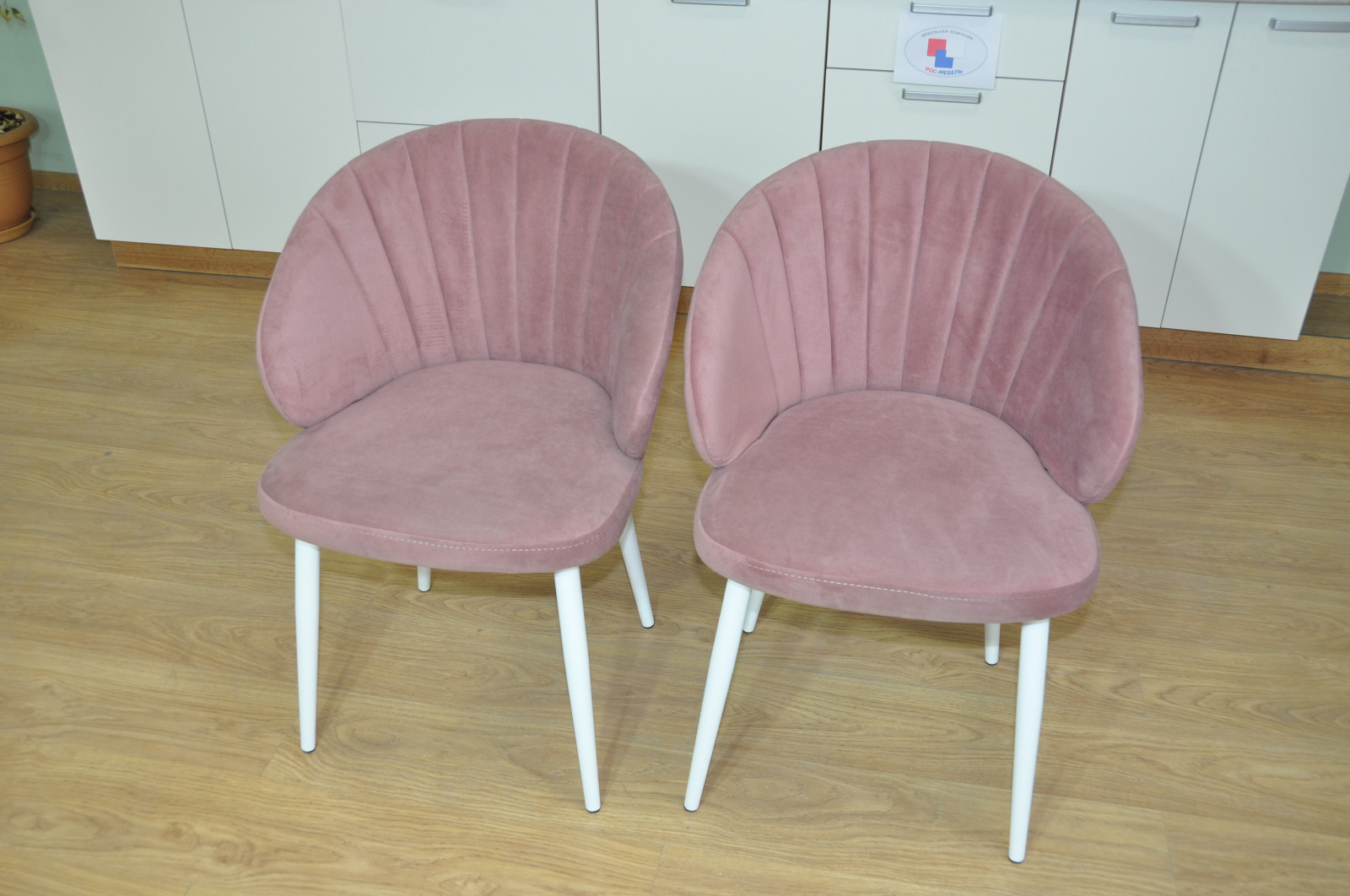 ���� ������� ������� ������ � � ������� �������� ������� � ������ �������