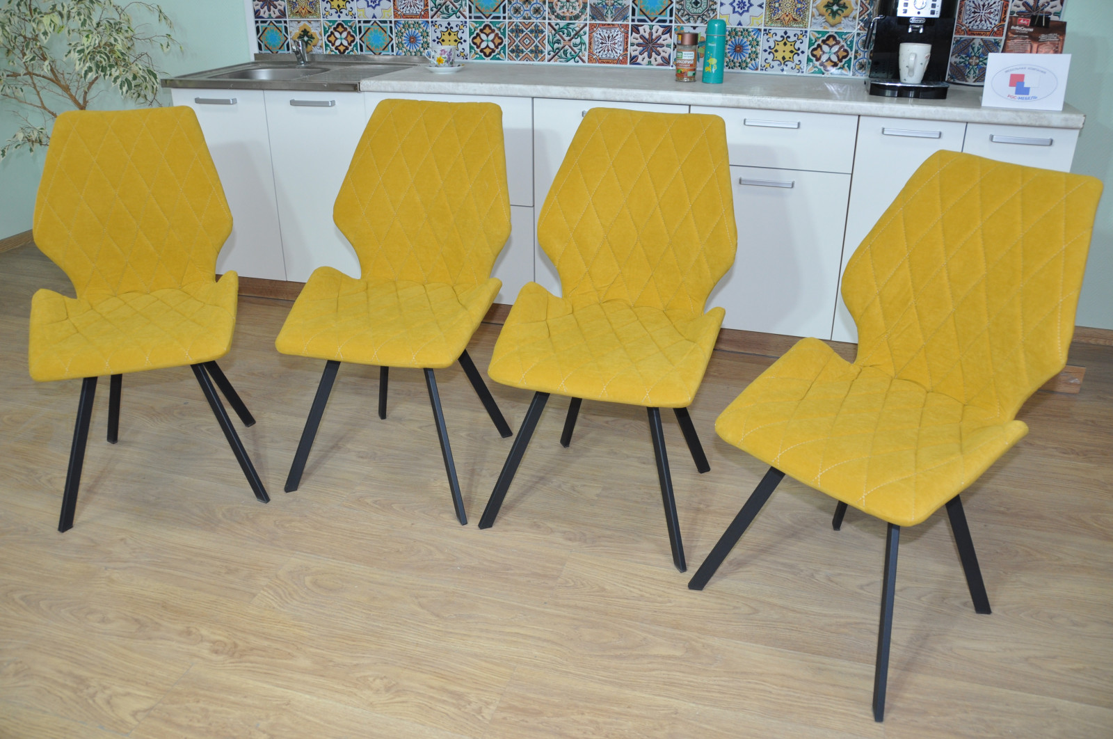 ������ �������� ����� � �� ������ ������� ������ � ����� ������ �������