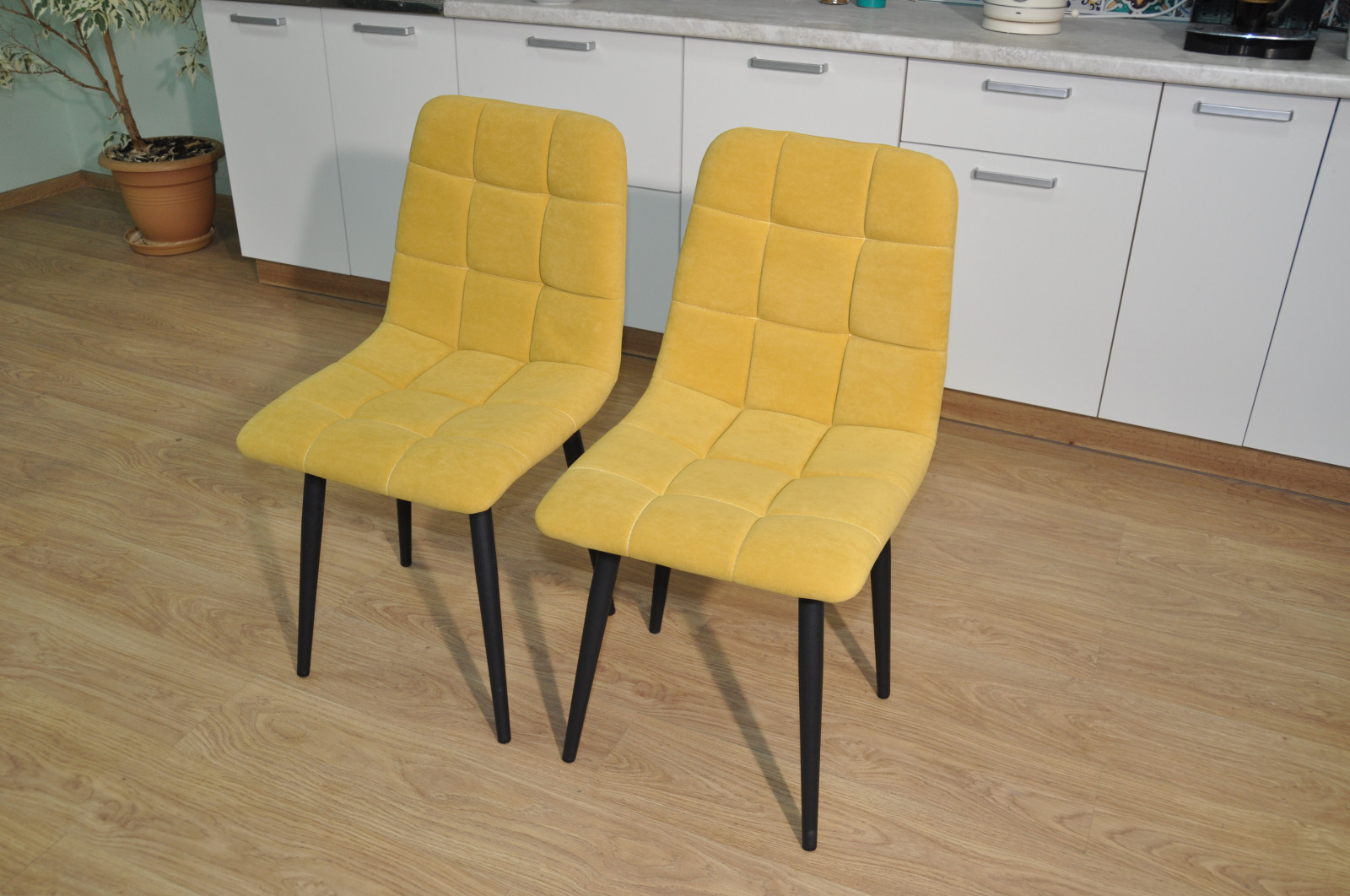 ��� ����� ������� ������ � ������� ����� ����� � ������� �����