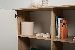 ���� ����� 16.230.04