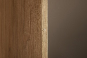 ���� ����� 16.230.04