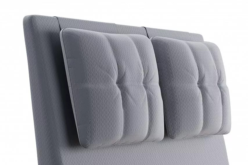 ������� Ester 1600  ������ 311