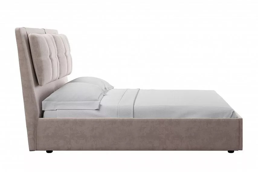 ������� Ester 1800  ������ 311