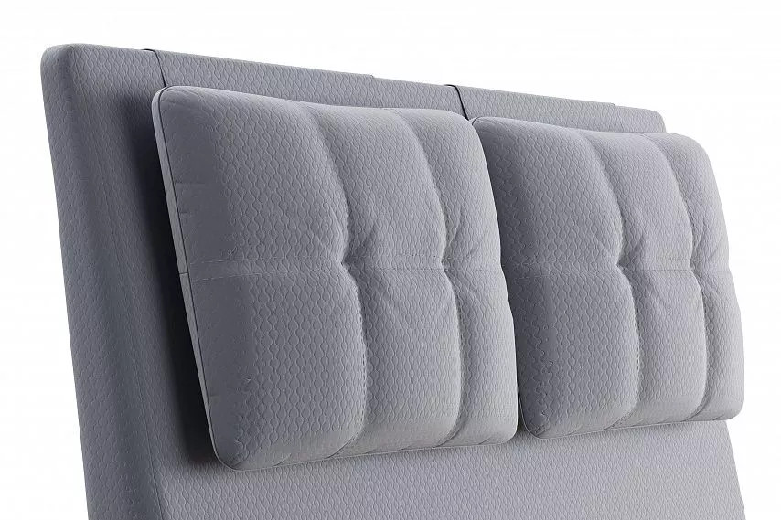 ������� Ester 1800  ������ 311