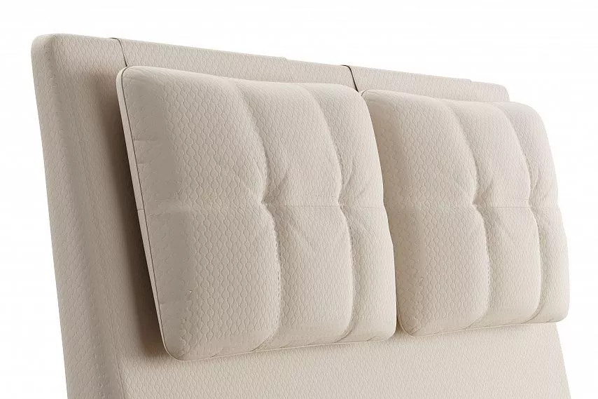 ������� Ester 1800  ������ 311