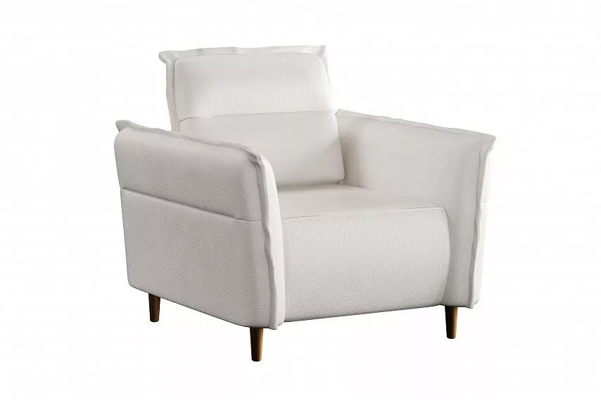 ������ ����