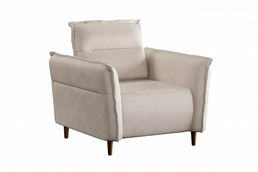 ������ ����