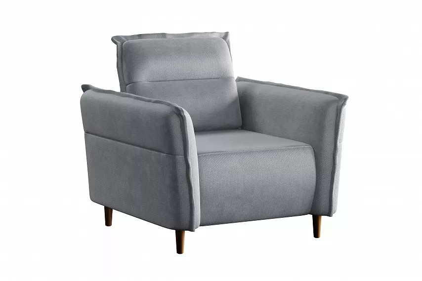 ������ ����