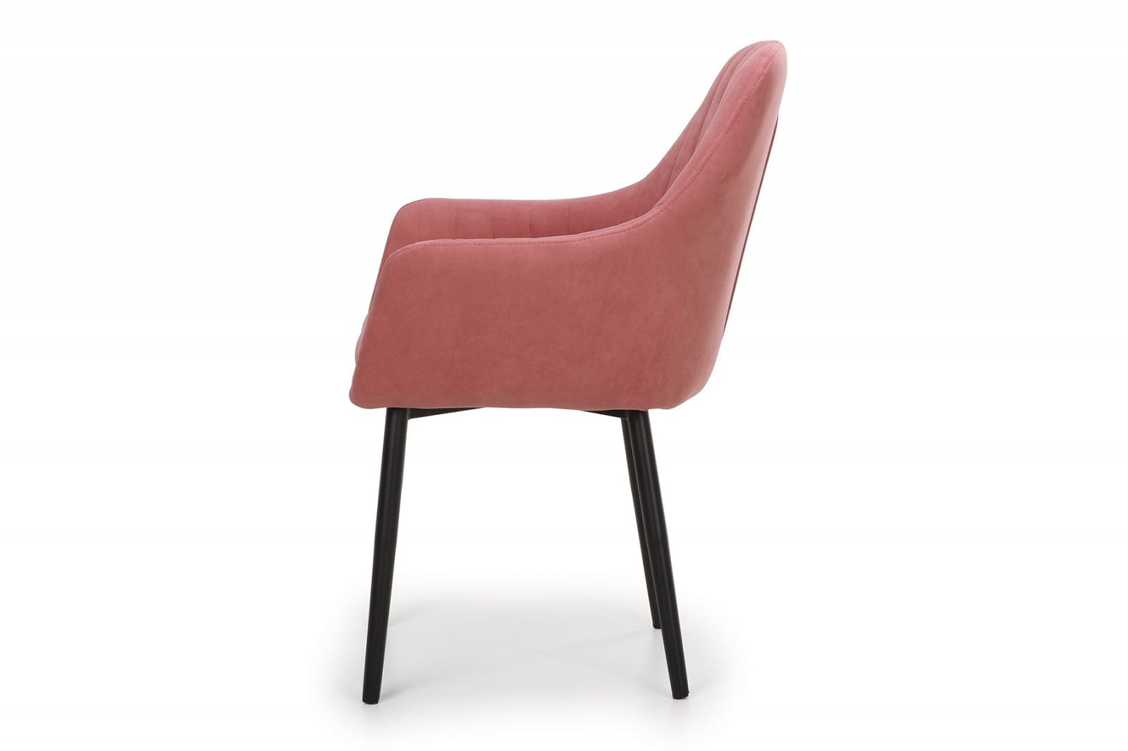 ���� �����